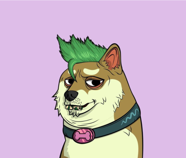 The punk dog