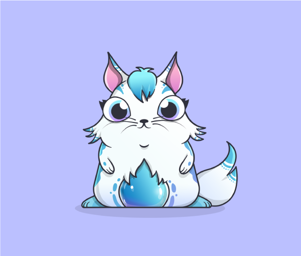 The ice kitty