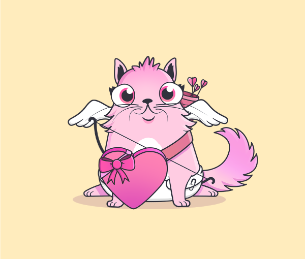 The cupidon kitty