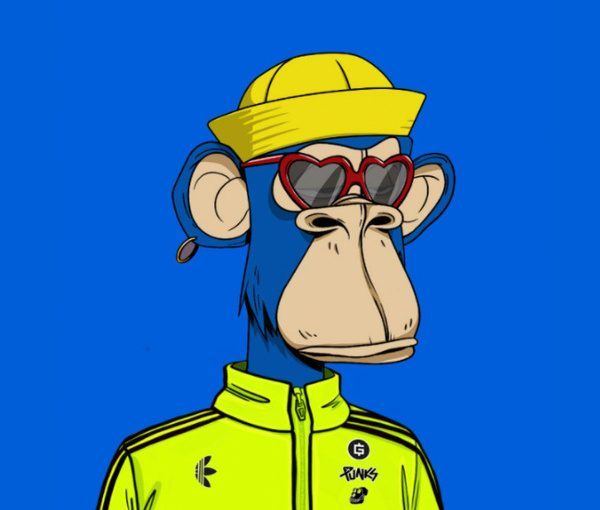 The cool monkey